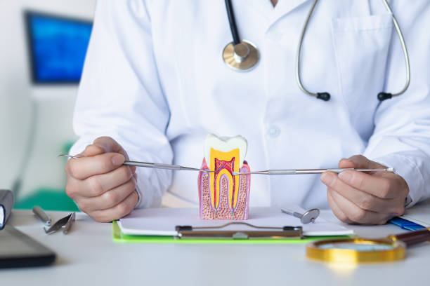 Best Holiday Emergency Dentist in Portage, MI